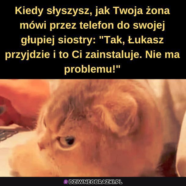 A gdzie konsultacja?!