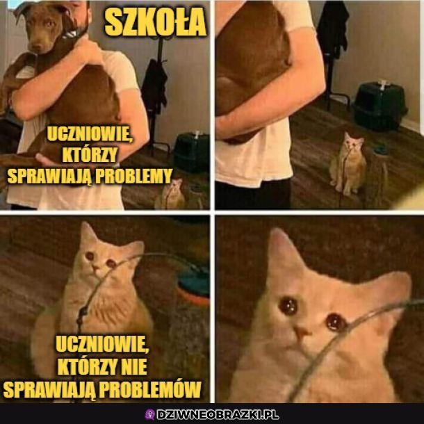 Szkoła