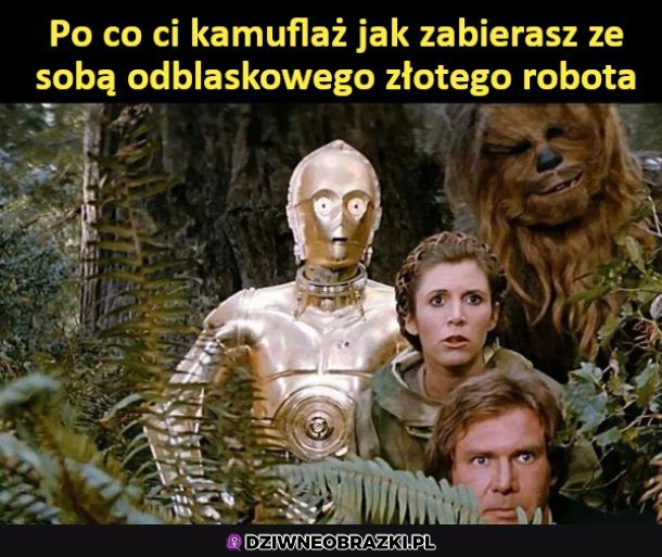 Dokładnie...