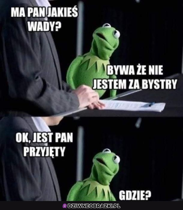 rozmowa kwalifikacyjna