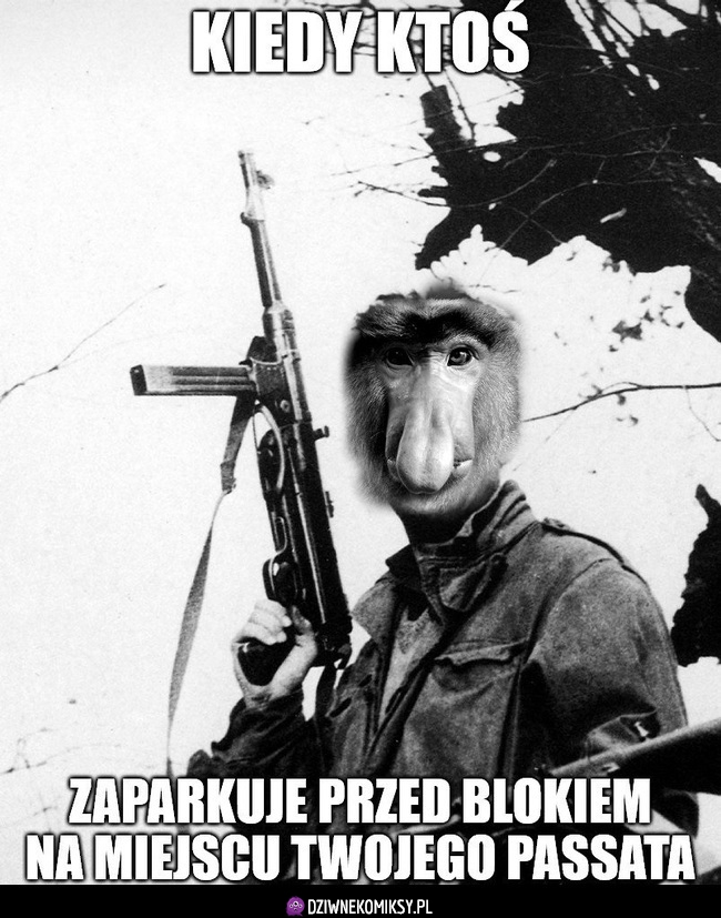 Polak rusza do akcji