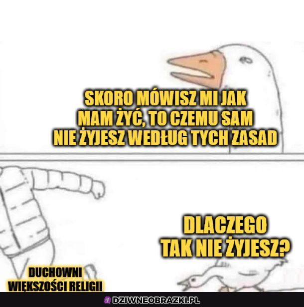Zła gąska