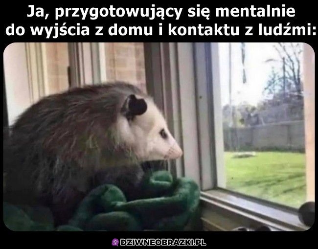 Ten moment