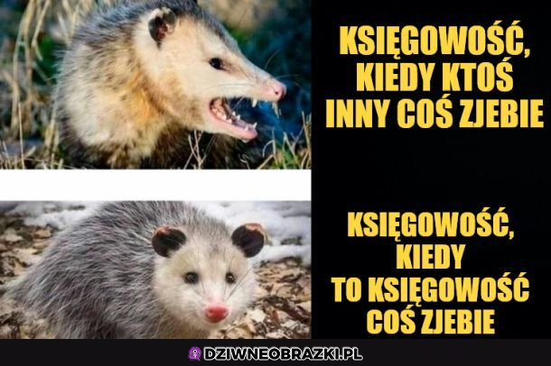 Księgowość