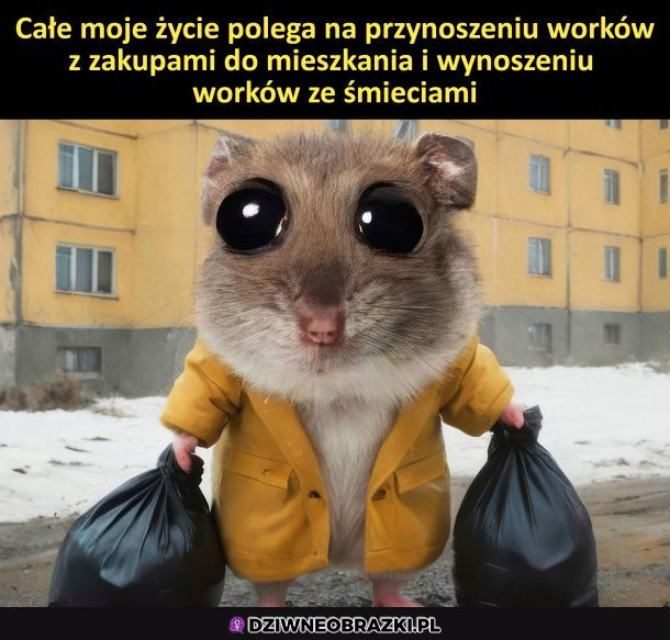 Całe moje życie