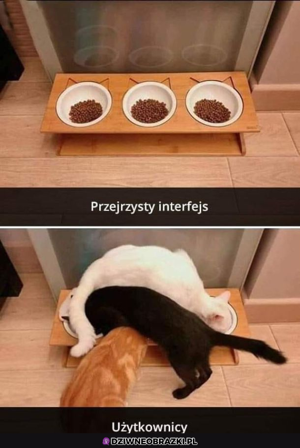 Interfejs