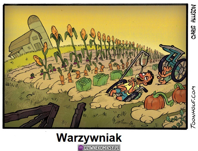 Ogródek