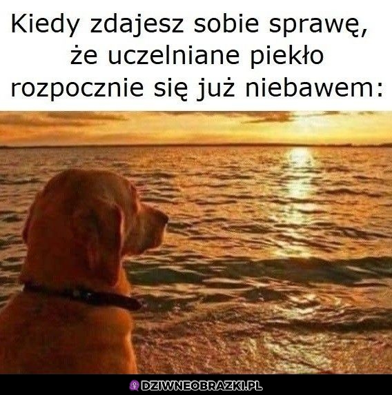 To już?