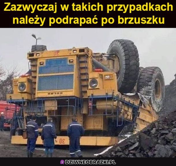 Drapu drapu