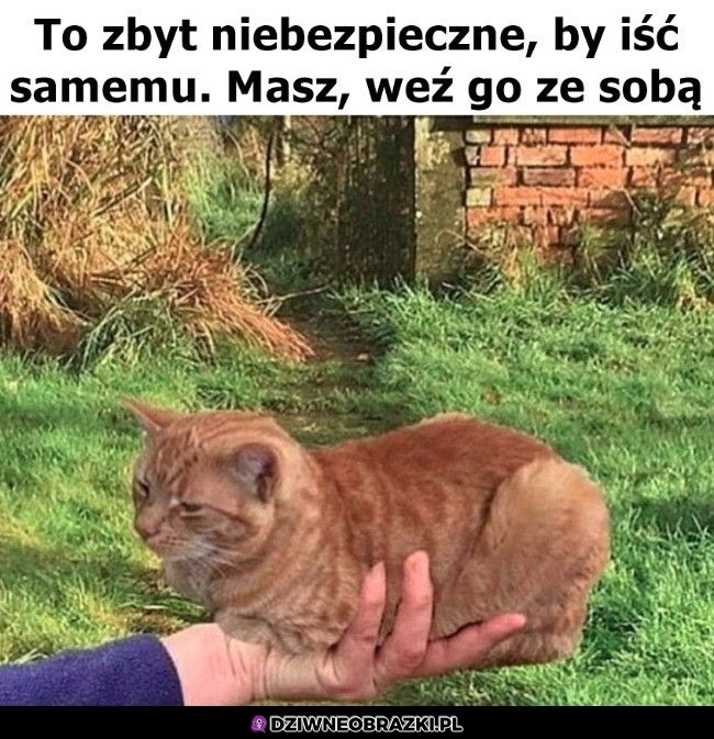 Trzymaj