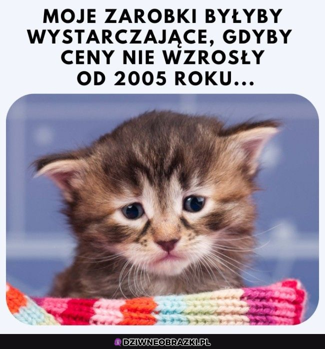 Kiedy hajsu by Ci starczyło, ale jest 20 lat poźniej