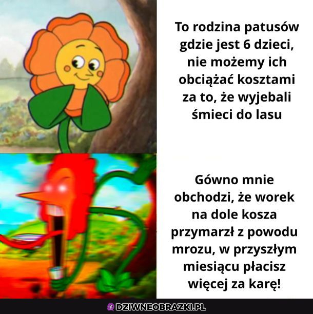 Widoczna różnica