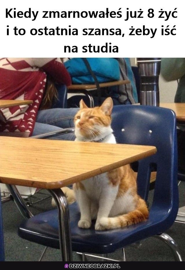 Tym razem na pewno je skończy