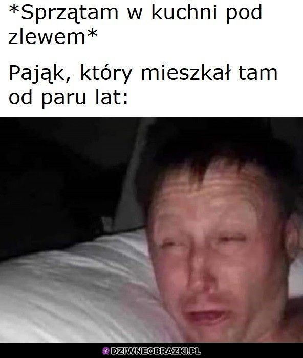 Gdzie z tą szczotą