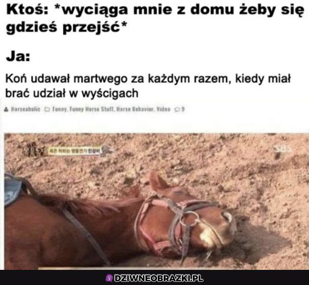 Trzeba sobie radzić