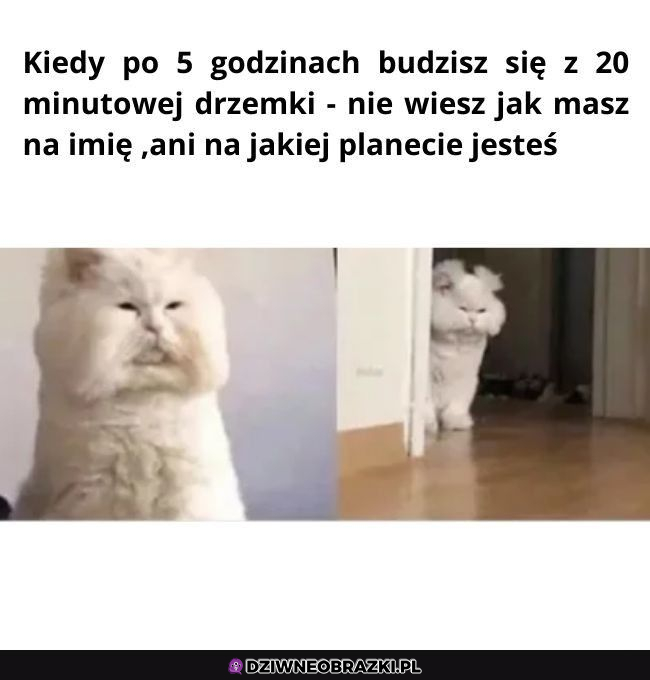 Co tu sie stało? Gdzie ja jestem? 