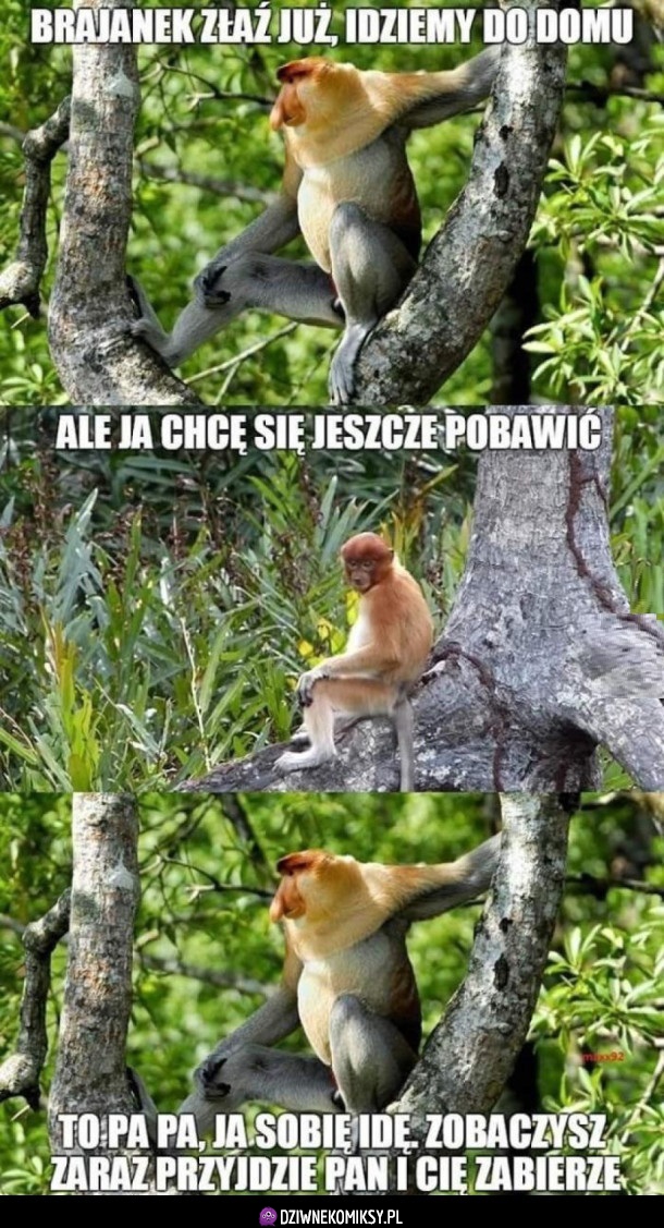 Typowa matka - karyna