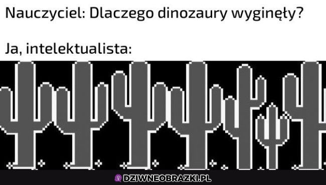 Właśnie dlatego