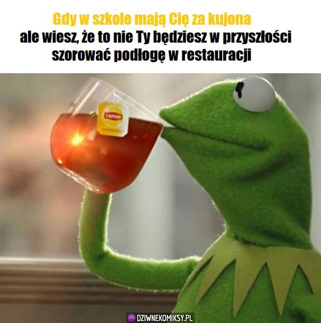 No i spoczko