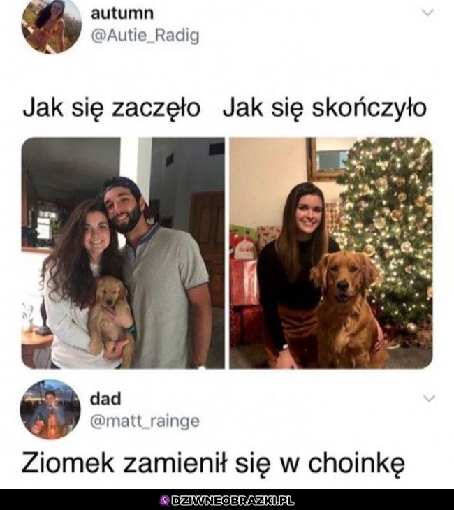 Niezła transformacja