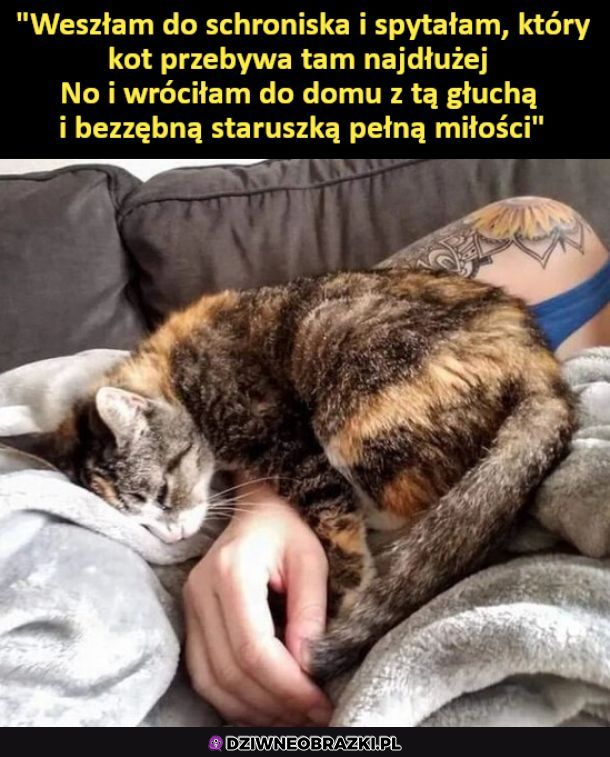 Coś pięknego