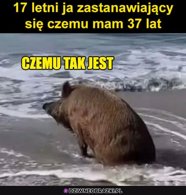 Czemu tak jest