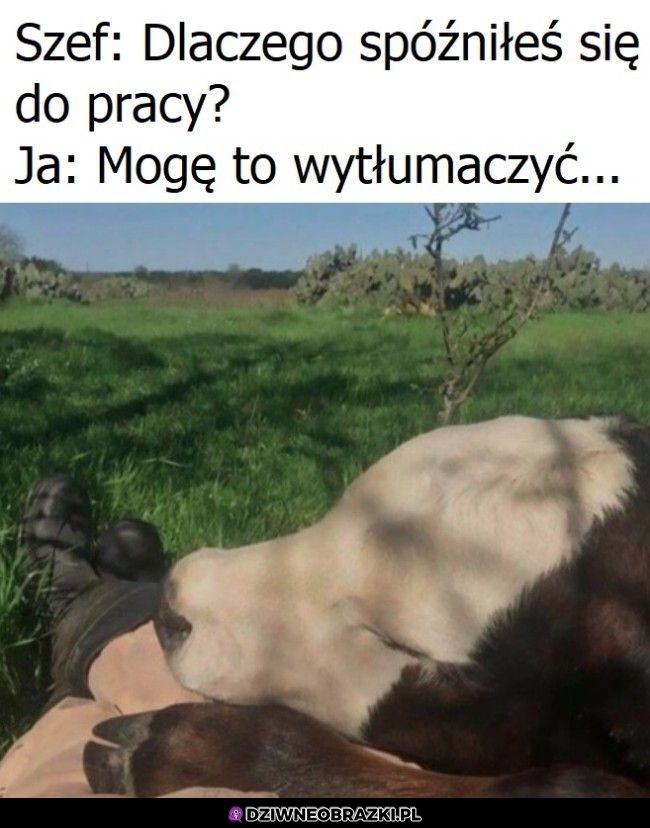 No nie mogłem jej zostawić