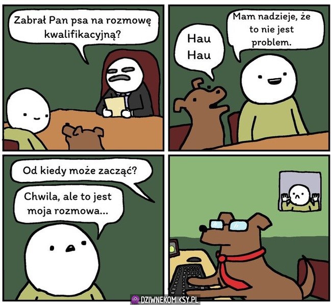 Rozmowa o pracę