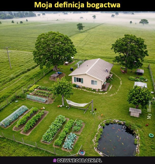 Definicja bogactwa