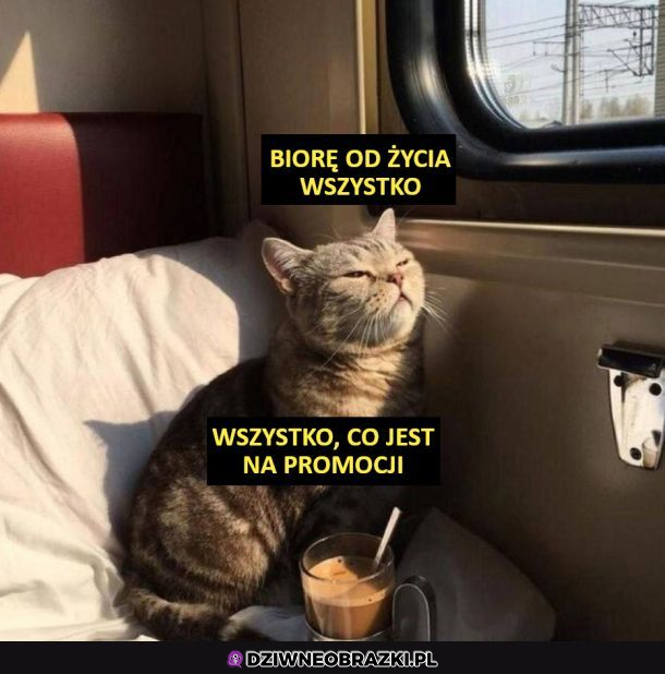 Promocje to życie 