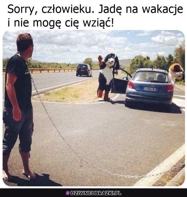 Sorry człowiek