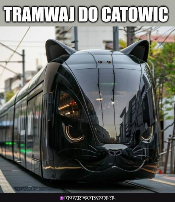 Catowice nocą