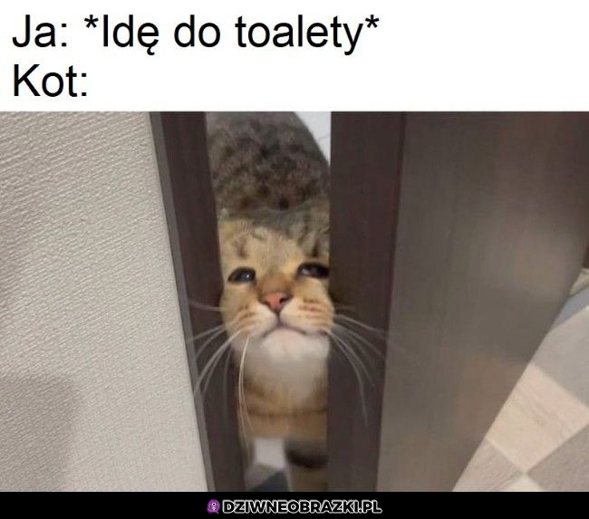 Sam nie idziesz