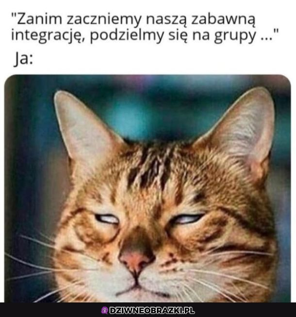 Tylko nie to