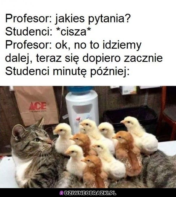 Ten moment