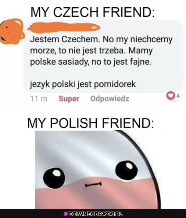 Czeski pomidorek 