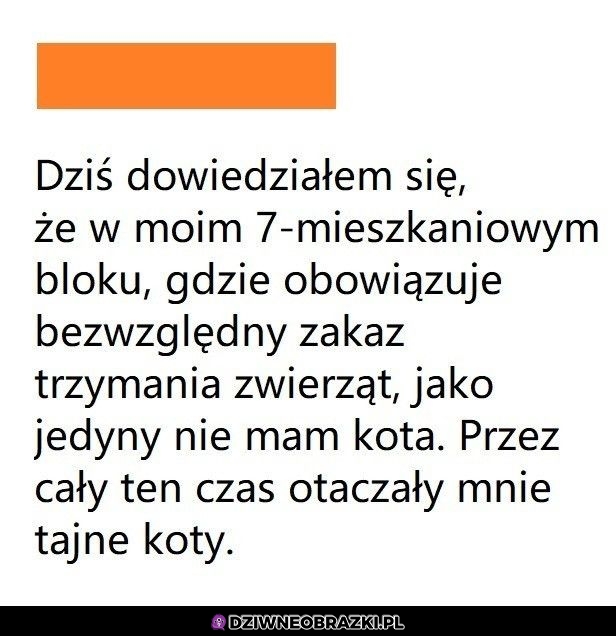 Skuteczny zakaz