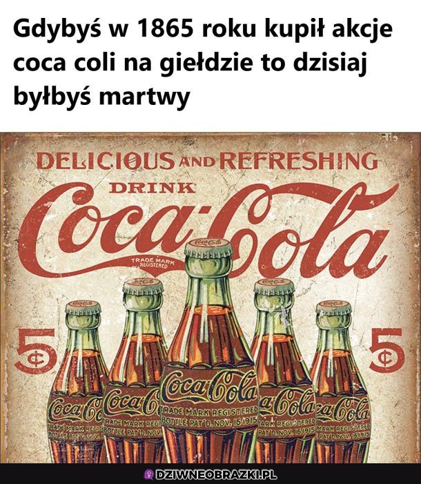 Coś w tym jest