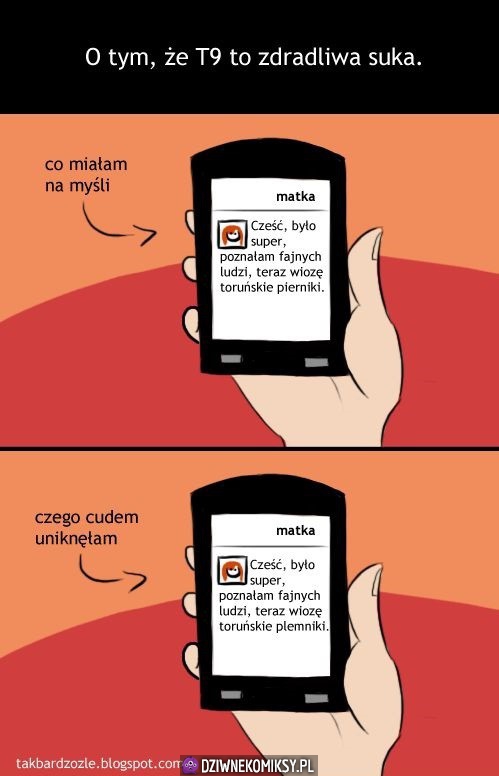 Słownik to złośliwa menda