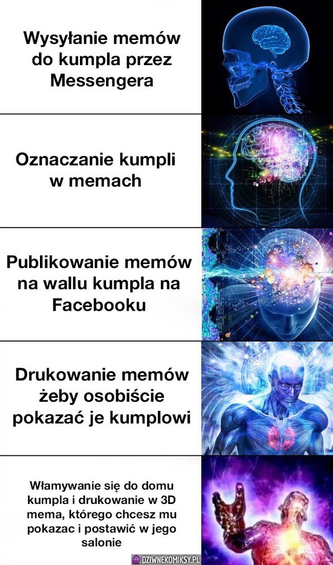 Memiczna mądrość