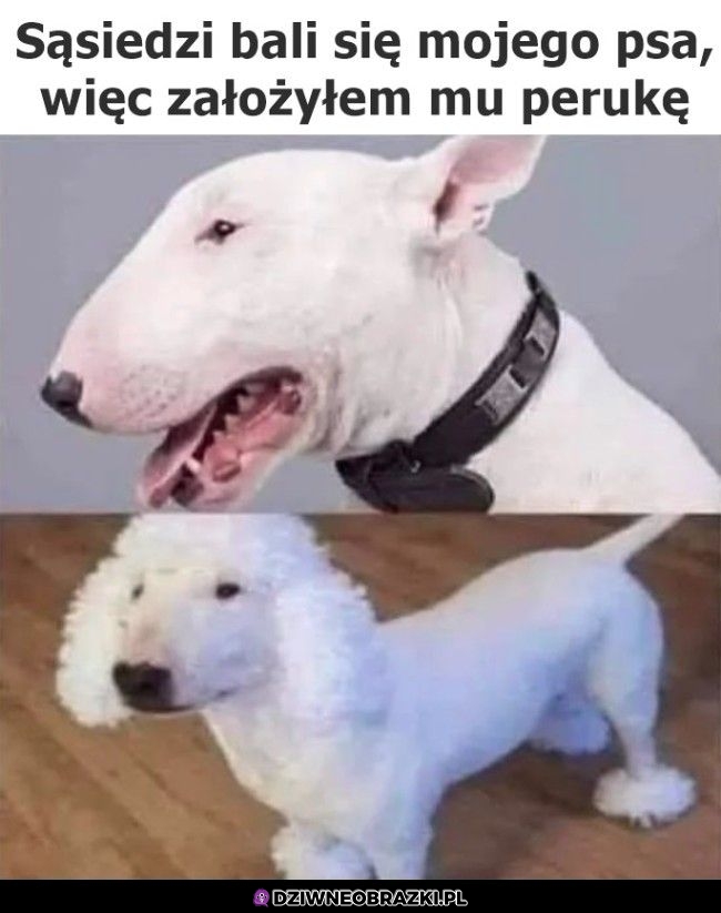 Teraz wygląda jakby chciał mnie skazać