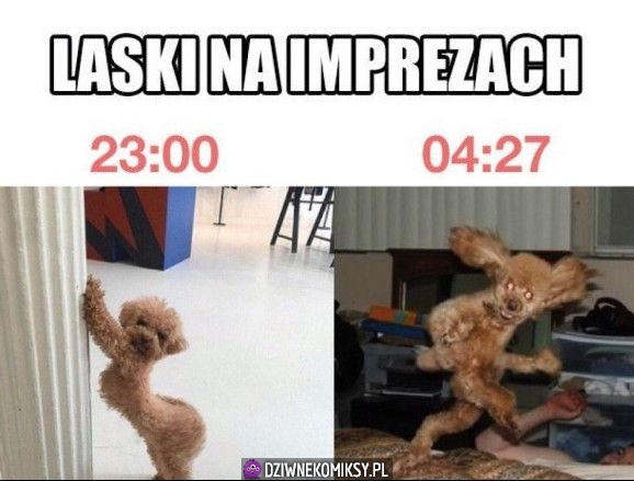 Laski na imprezach