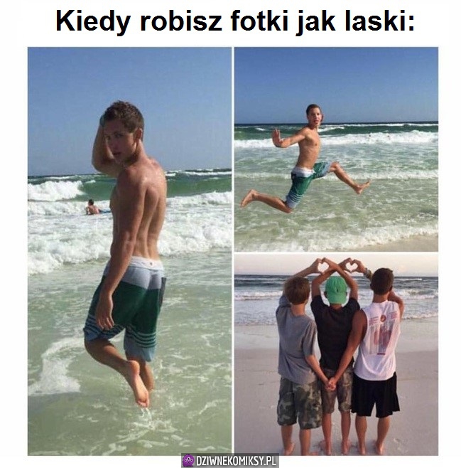 Laski nad morzem takie są