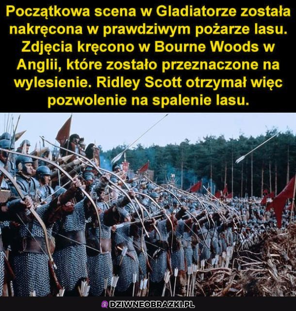 Ciekawostka