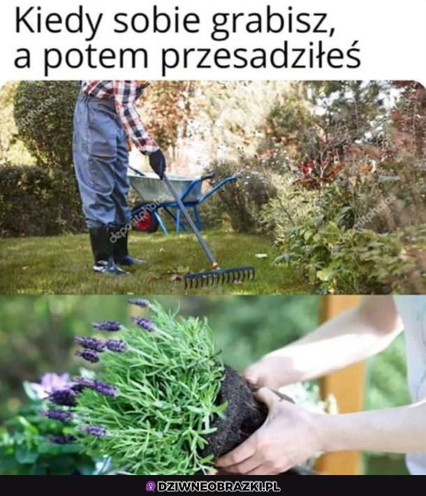 żarty ogrodników