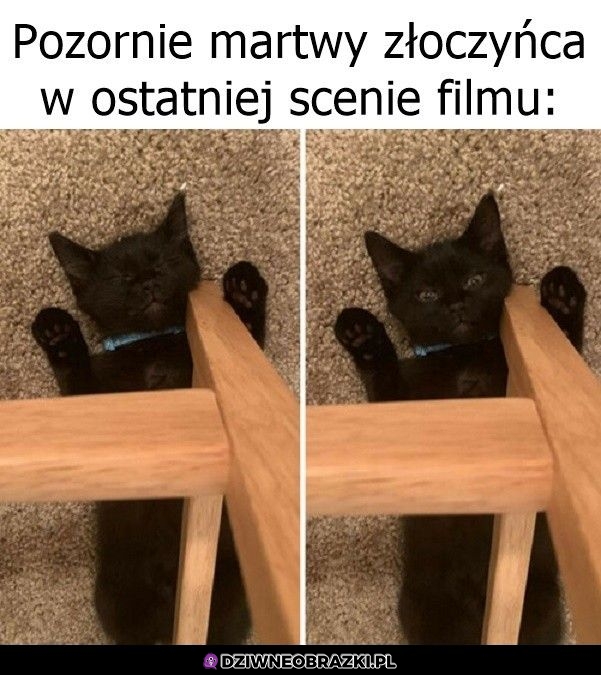 I myk kolejna część