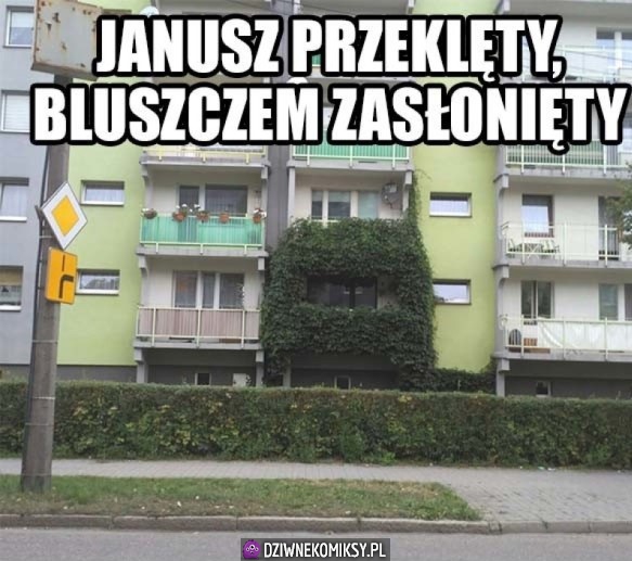 Janusz