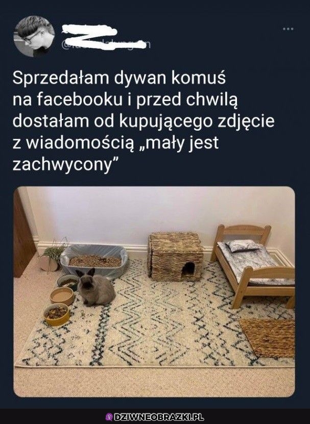No i fajnie