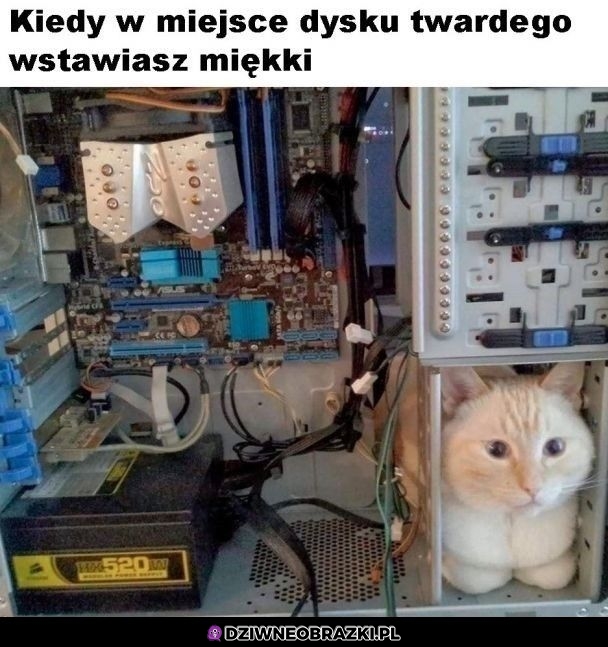 Nowy dysk