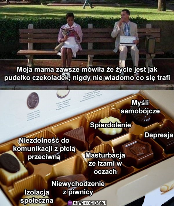 Życie jest jak czekoladki